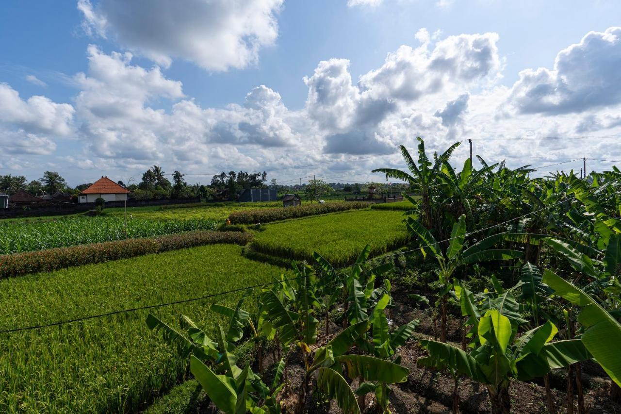 Oemah Joglo Bali Villa Ubud  Exterior photo